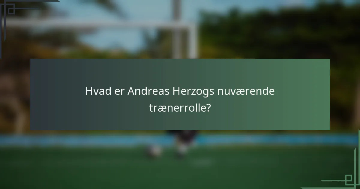 Hvad er Andreas Herzogs nuværende trænerrolle?
