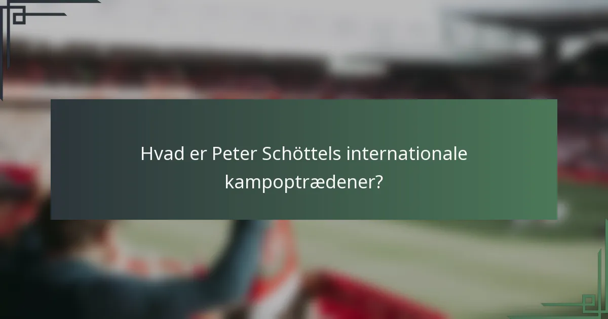 Hvad er Peter Schöttels internationale kampoptrædener?