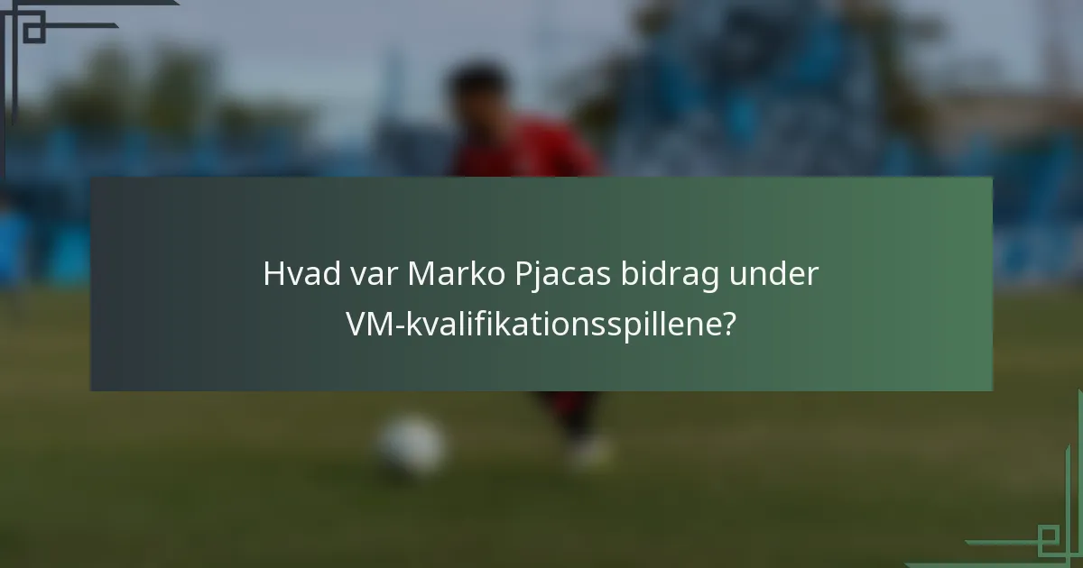 Hvad var Marko Pjacas bidrag under VM-kvalifikationsspillene?