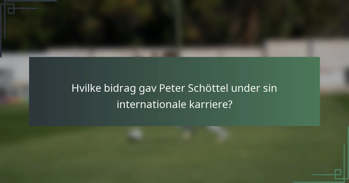 Hvilke bidrag gav Peter Schöttel under sin internationale karriere?