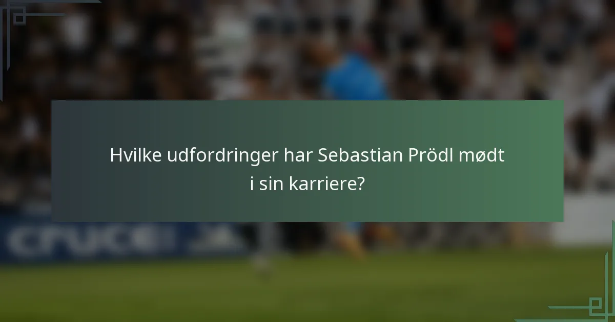Hvilke udfordringer har Sebastian Prödl mødt i sin karriere?