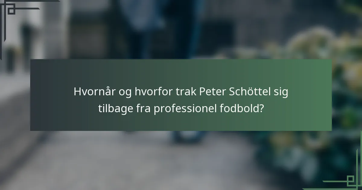 Hvornår og hvorfor trak Peter Schöttel sig tilbage fra professionel fodbold?